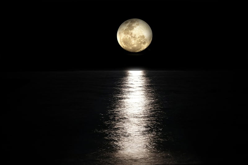 Moonlight Elixir