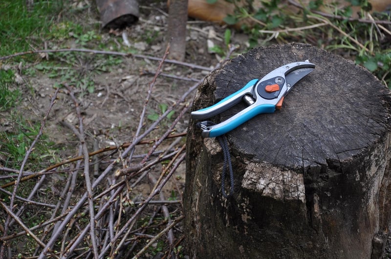 Magic Pruners
