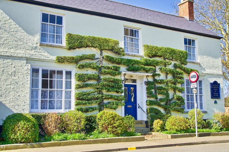 Topiary Trees